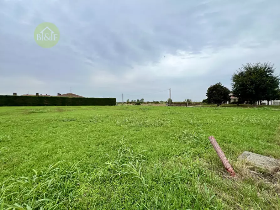 Immagine 1 di Terreno in vendita  in Via Olmo a Boschi Sant'anna