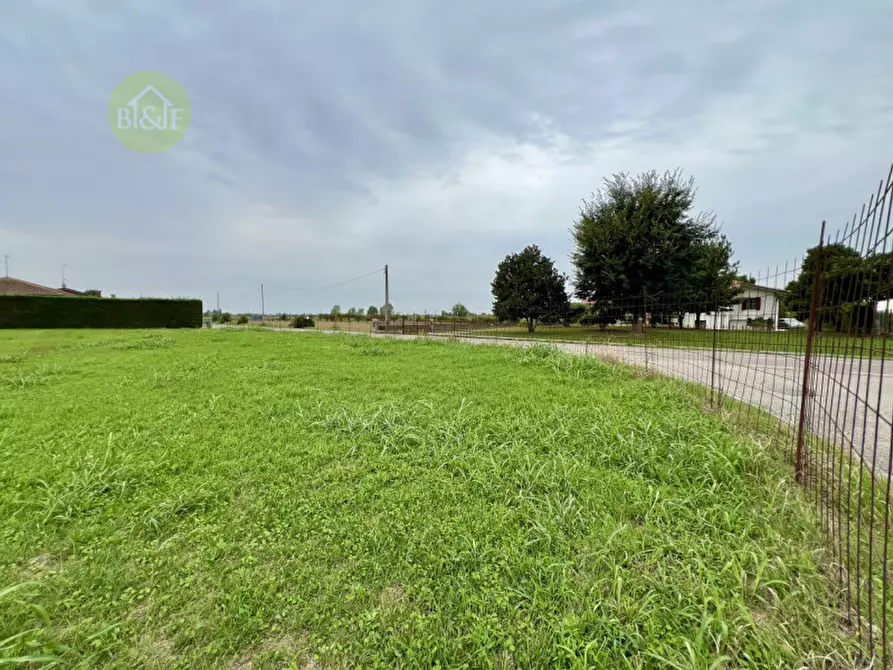 Immagine 2 di Terreno in vendita  in Via Olmo a Boschi Sant'anna