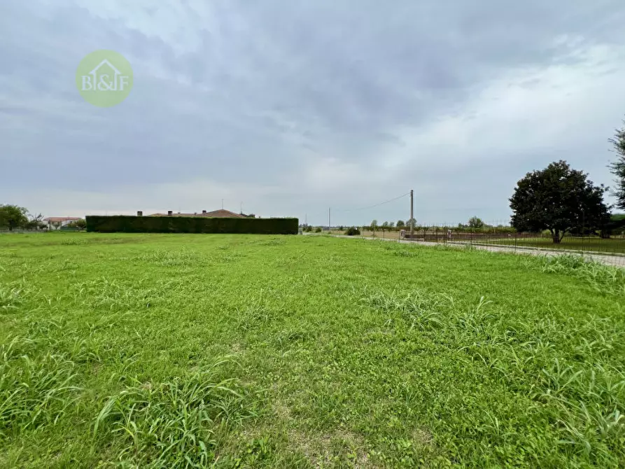 Immagine 3 di Terreno in vendita  in Via Olmo a Boschi Sant'anna