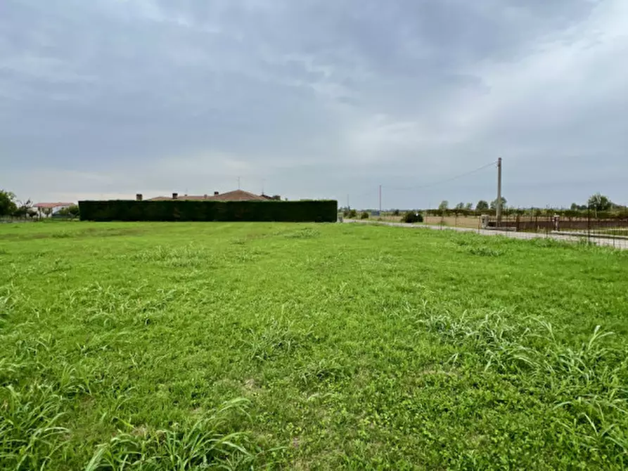 Immagine 4 di Terreno in vendita  in Via Olmo a Boschi Sant'anna