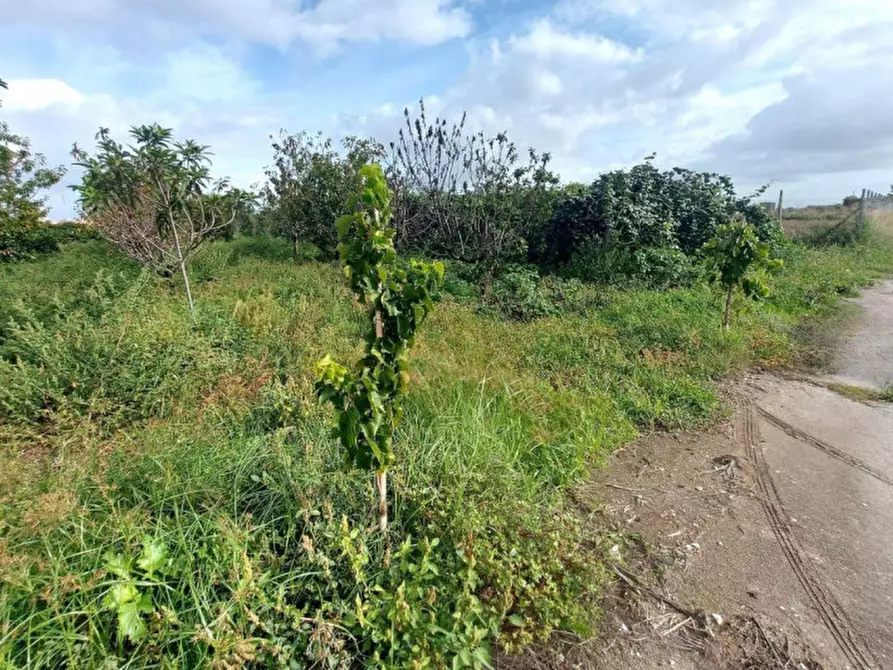 Immagine 2 di Terreno in vendita  in San Giuseppiello, N. Snc a Giugliano In Campania