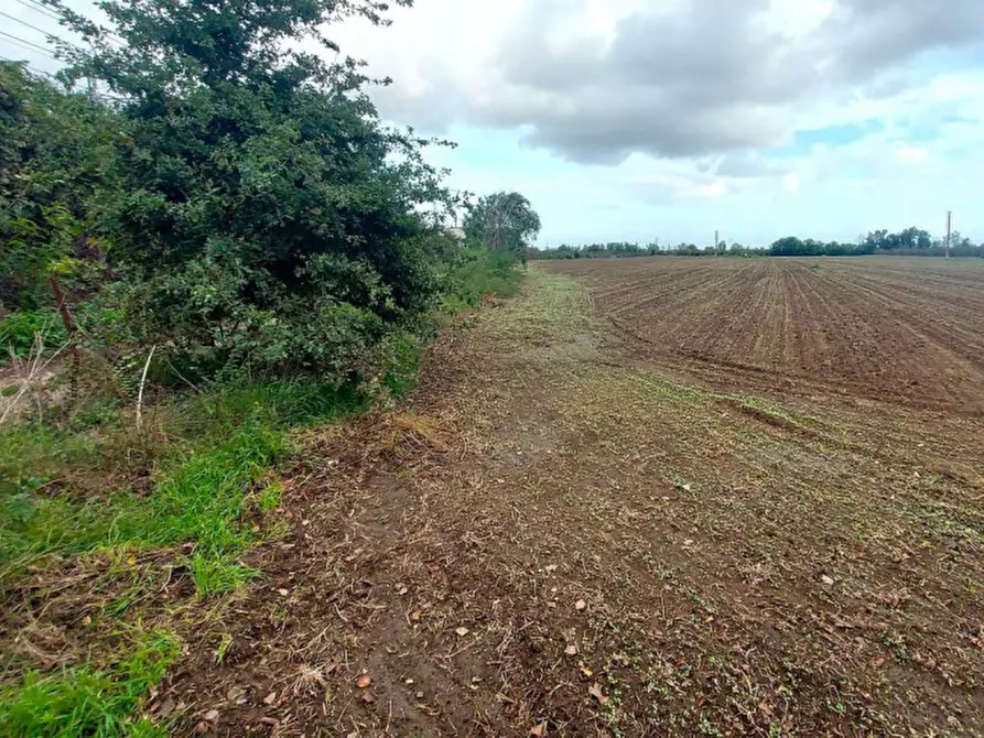 Immagine 4 di Terreno in vendita  in San Giuseppiello, N. Snc a Giugliano In Campania