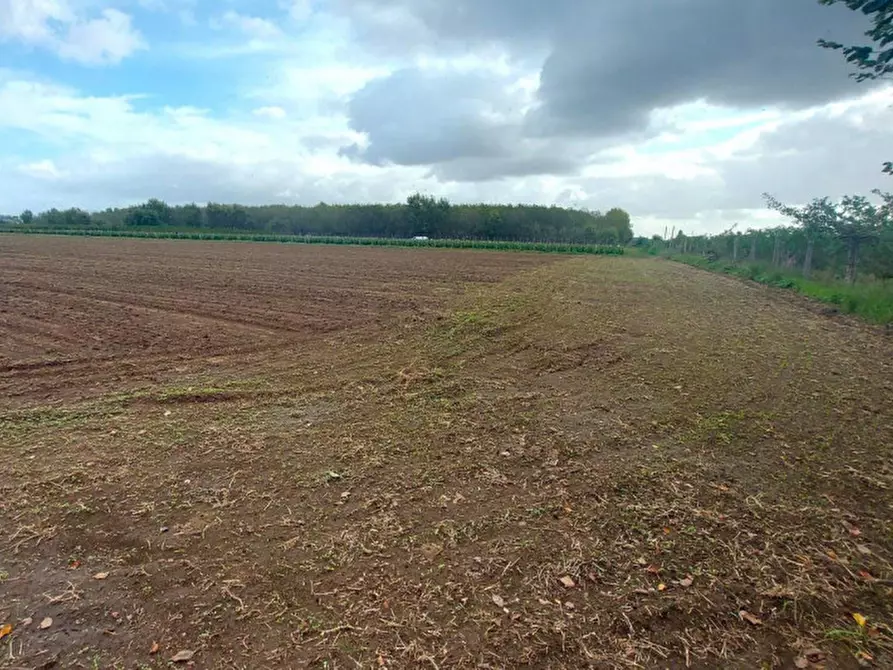 Immagine 5 di Terreno in vendita  in San Giuseppiello, N. Snc a Giugliano In Campania
