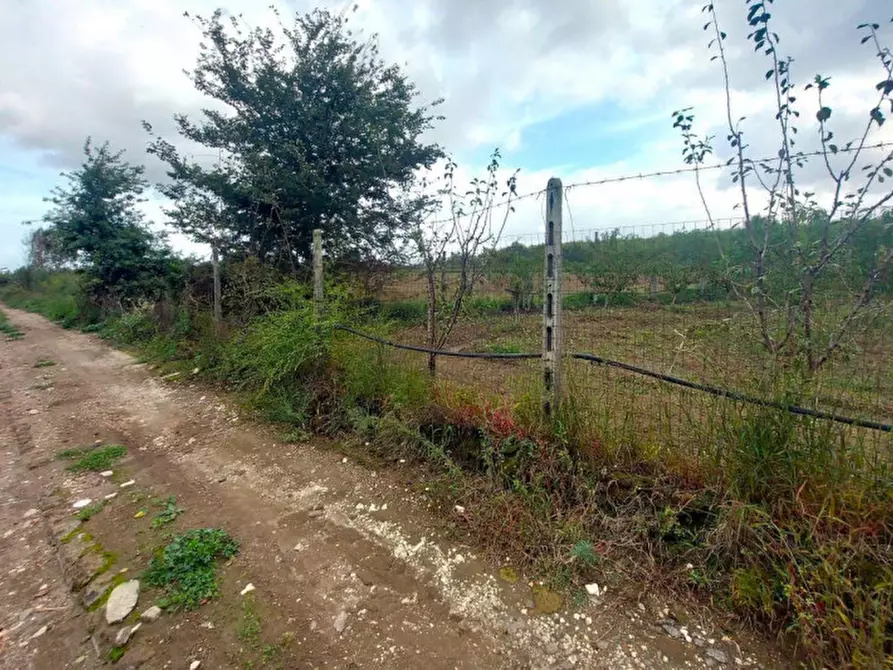 Immagine 6 di Terreno in vendita  in San Giuseppiello, N. Snc a Giugliano In Campania