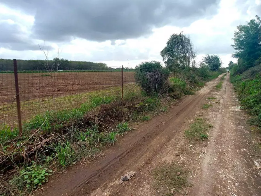 Immagine 7 di Terreno in vendita  in San Giuseppiello, N. Snc a Giugliano In Campania