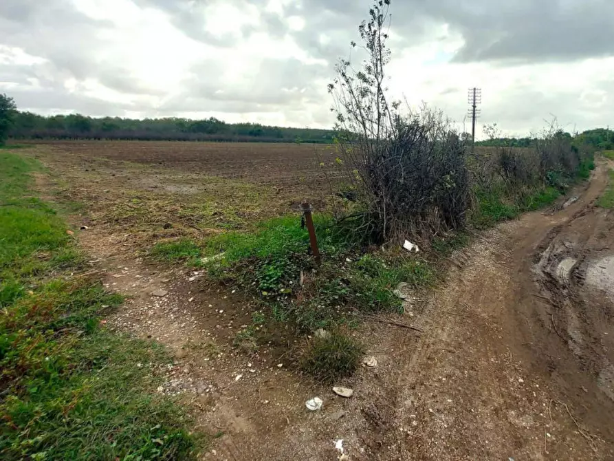 Immagine 8 di Terreno in vendita  in San Giuseppiello, N. Snc a Giugliano In Campania