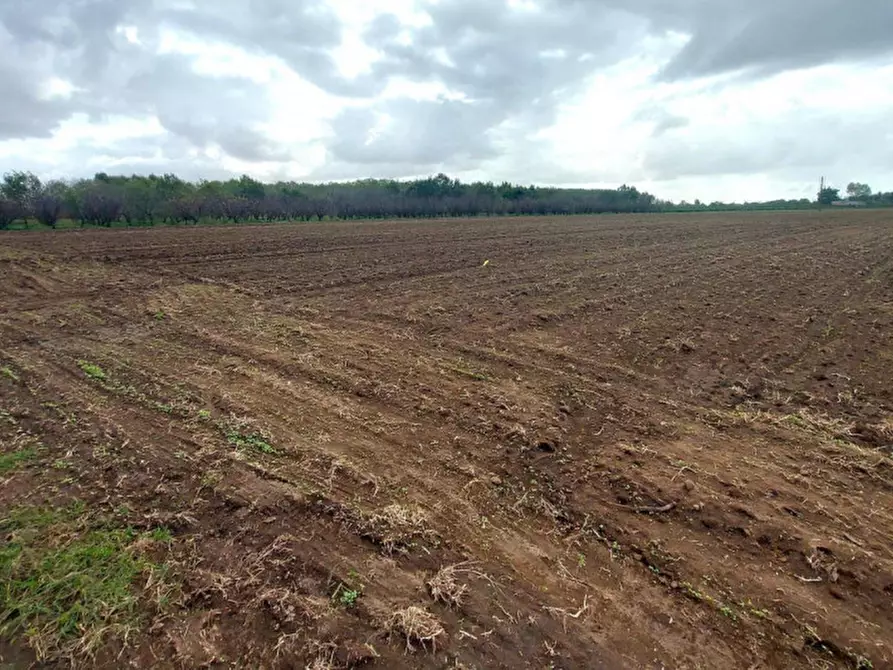 Immagine 9 di Terreno in vendita  in San Giuseppiello, N. Snc a Giugliano In Campania