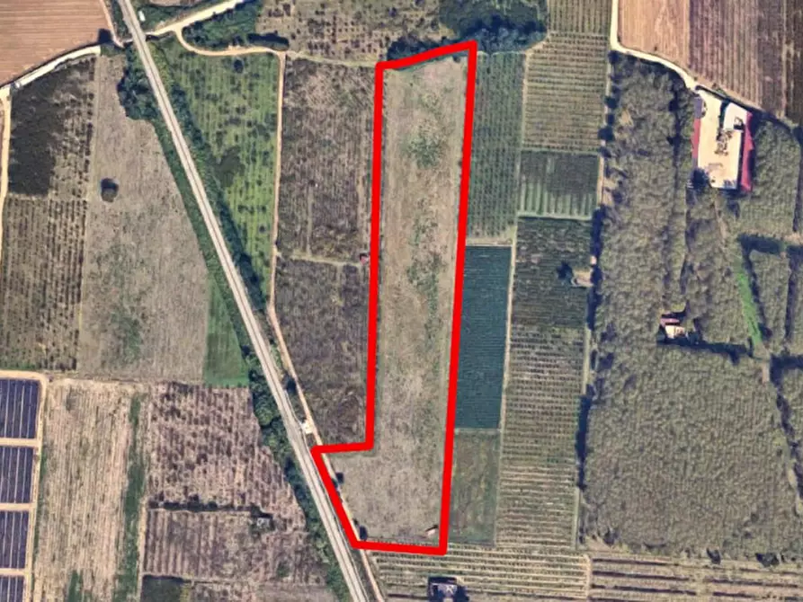 Immagine 17 di Terreno in vendita  in San Giuseppiello, N. Snc a Giugliano In Campania