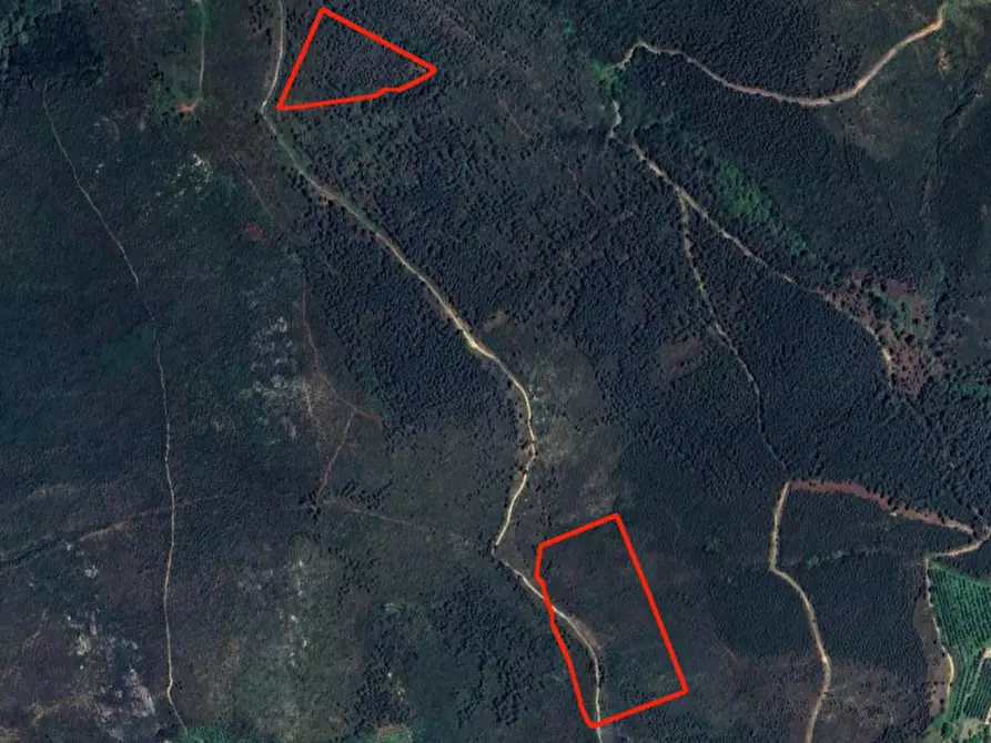 Immagine 15 di Appartamento in vendita  in Loc. Cucigliana, Via Panieretta, N. snc a Vicopisano