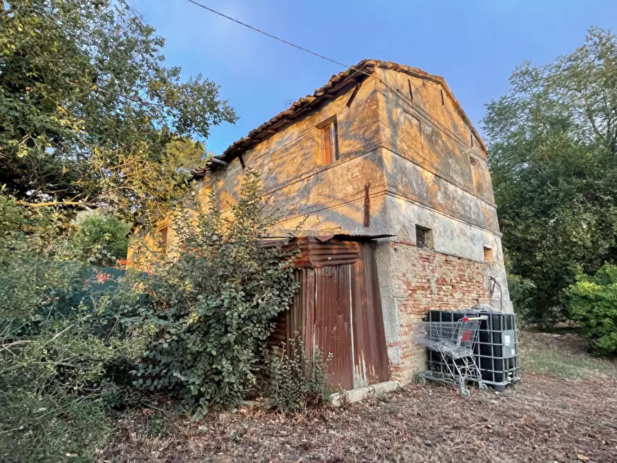 Immagine 3 di Rustico / casale in vendita  a Senigallia