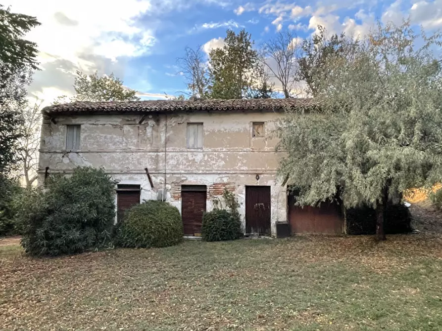 Immagine 4 di Rustico / casale in vendita  a Senigallia