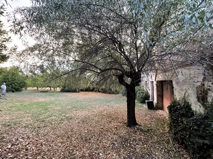 Immagine 7 di Rustico / casale in vendita  a Senigallia