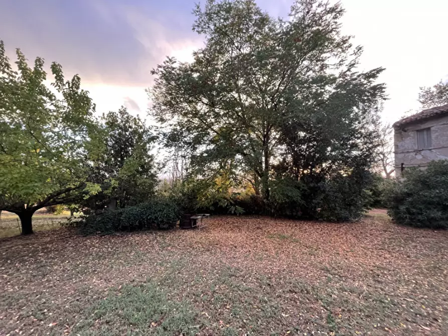 Immagine 13 di Rustico / casale in vendita  a Senigallia