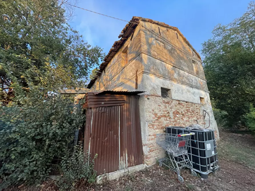 Immagine 14 di Rustico / casale in vendita  a Senigallia
