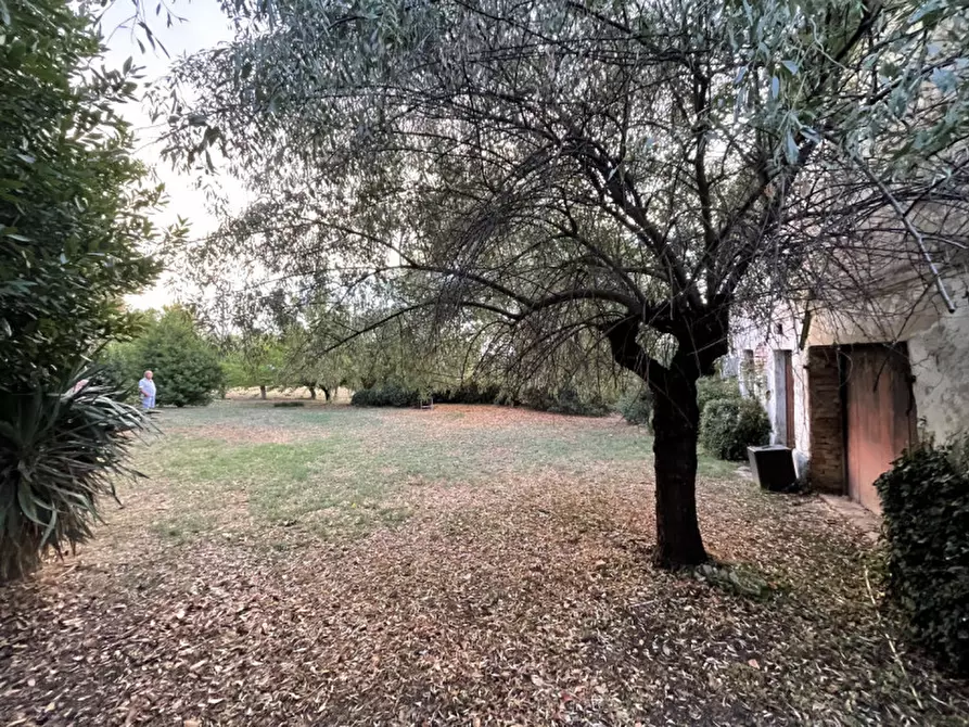 Immagine 15 di Rustico / casale in vendita  a Senigallia