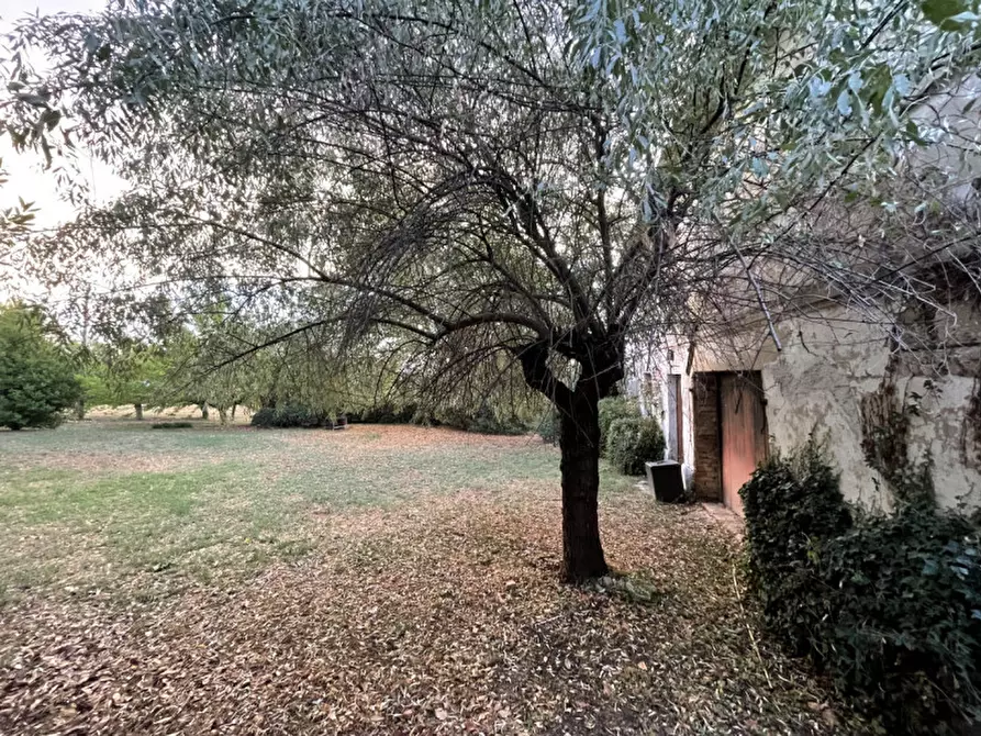 Immagine 16 di Rustico / casale in vendita  a Senigallia