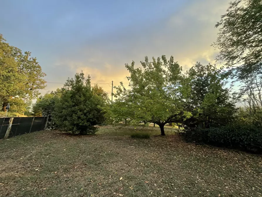 Immagine 17 di Rustico / casale in vendita  a Senigallia