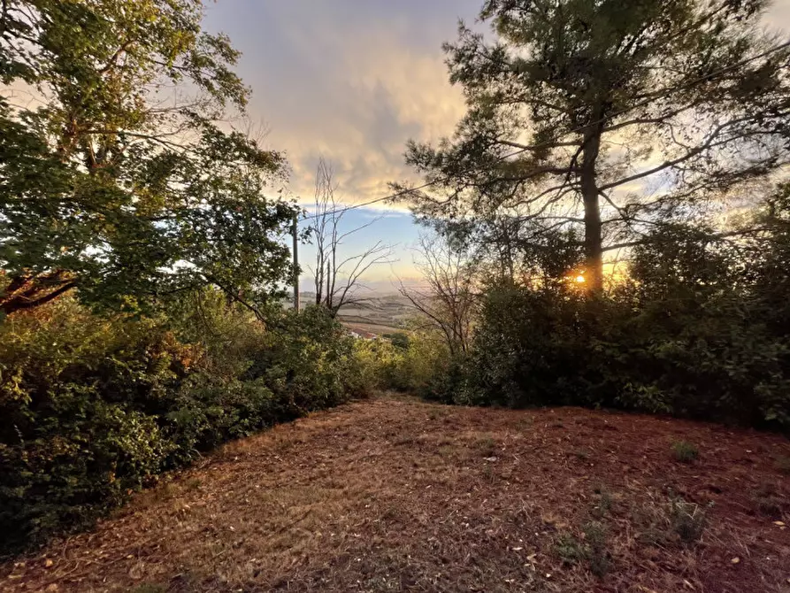Immagine 19 di Rustico / casale in vendita  a Senigallia