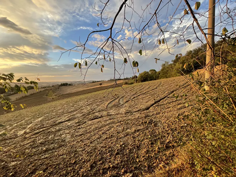 Immagine 20 di Rustico / casale in vendita  a Senigallia