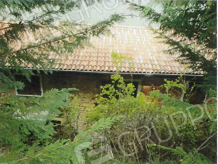 Immagine 7 di Palazzo in vendita  a Badia Calavena