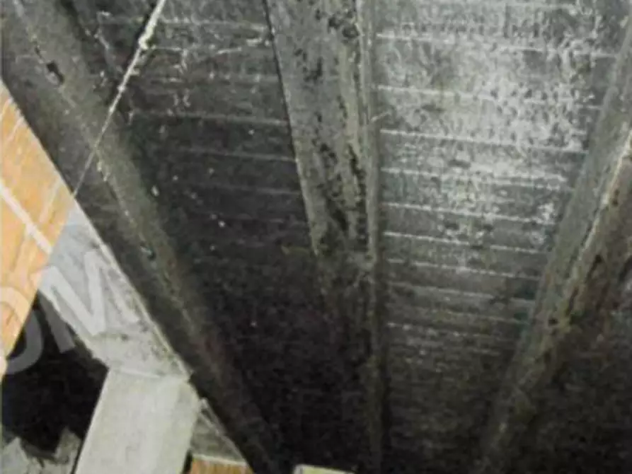 Immagine 33 di Palazzo in vendita  a Badia Calavena