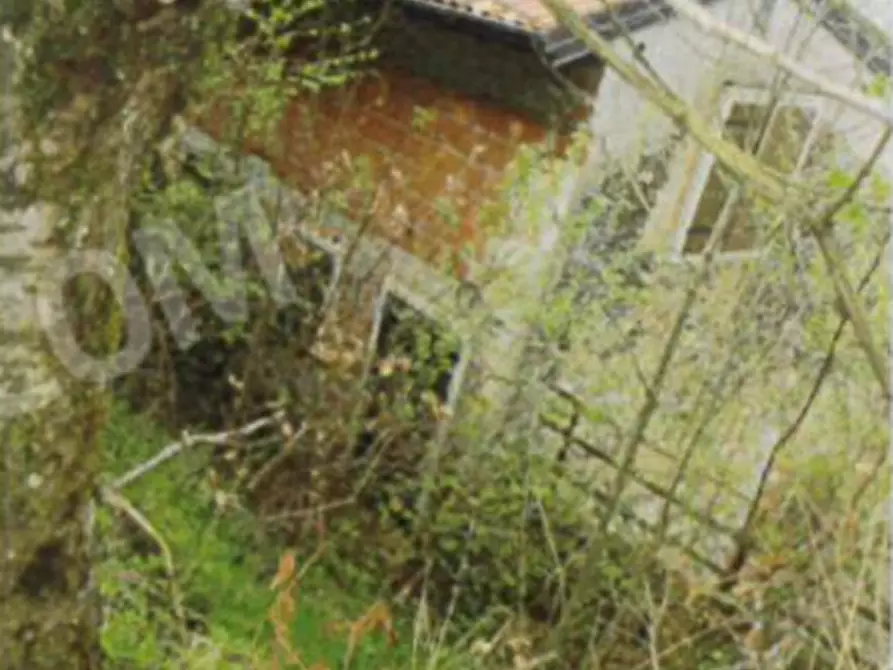 Immagine 36 di Palazzo in vendita  a Badia Calavena