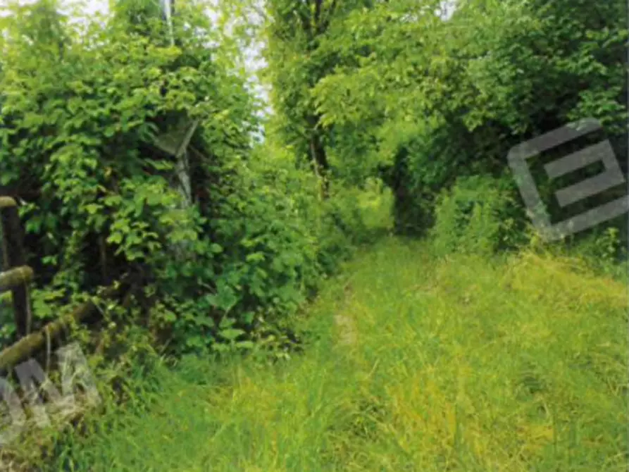 Immagine 39 di Palazzo in vendita  a Badia Calavena