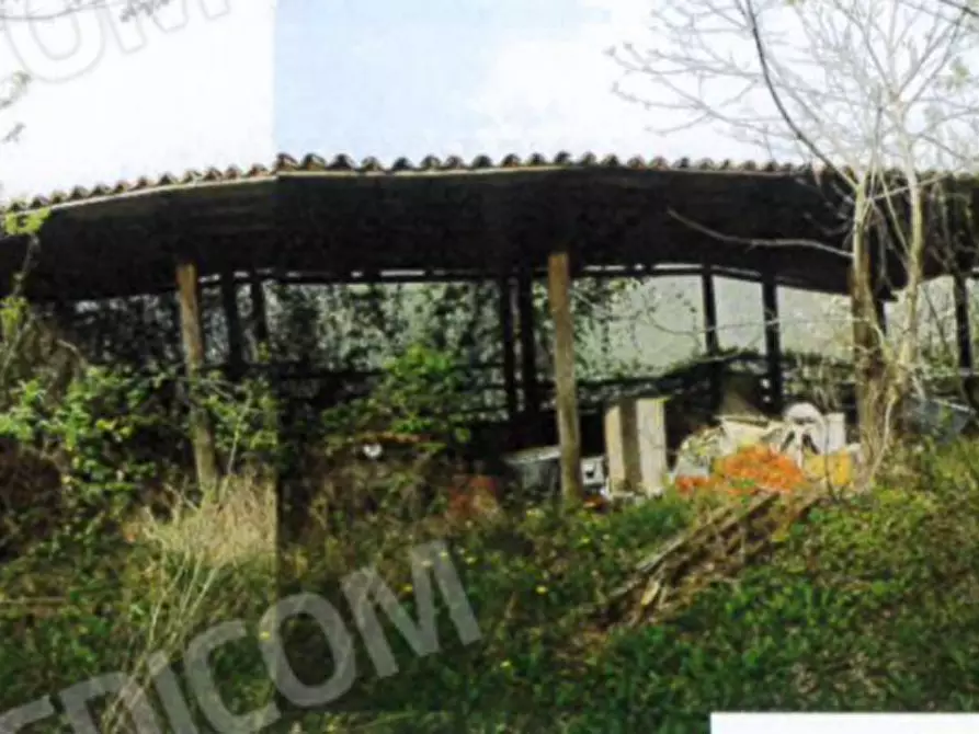 Immagine 40 di Palazzo in vendita  a Badia Calavena