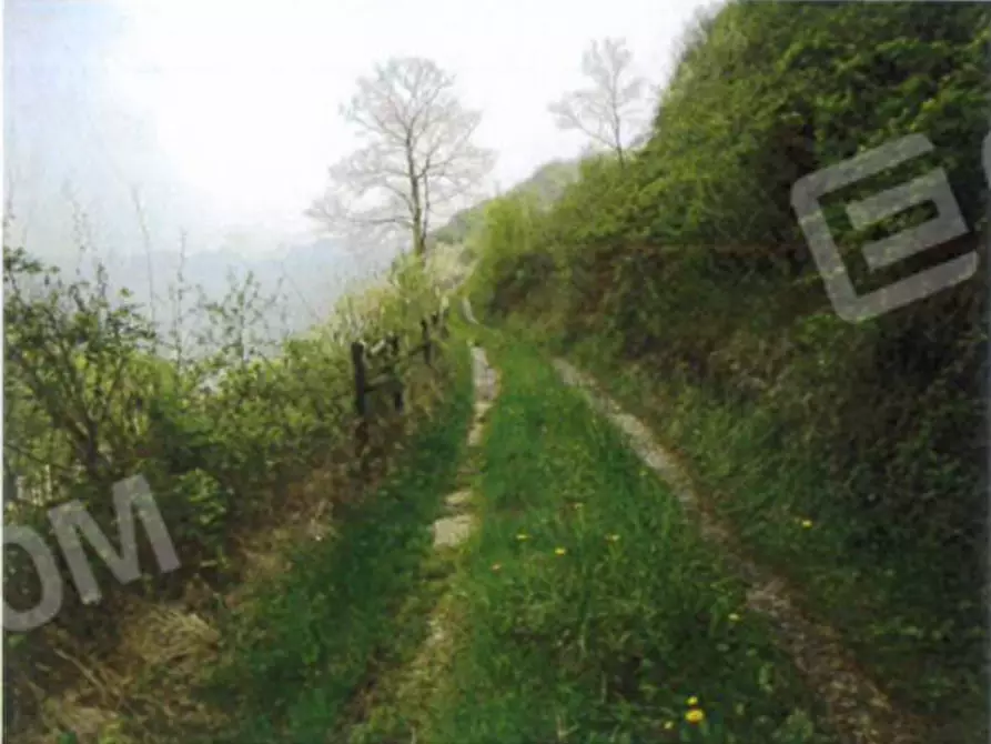 Immagine 42 di Palazzo in vendita  a Badia Calavena