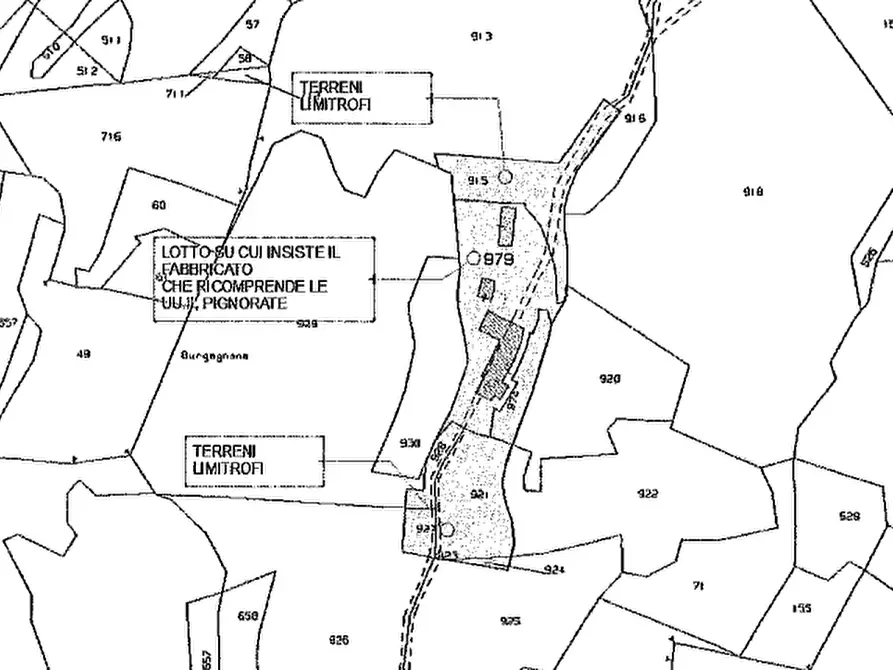 Immagine 44 di Palazzo in vendita  a Badia Calavena