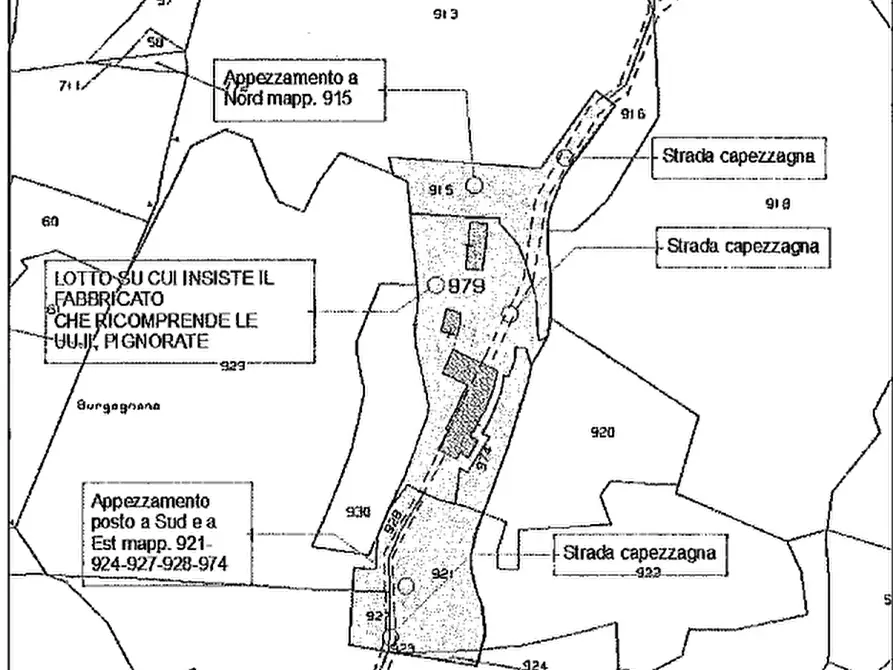 Immagine 52 di Palazzo in vendita  a Badia Calavena