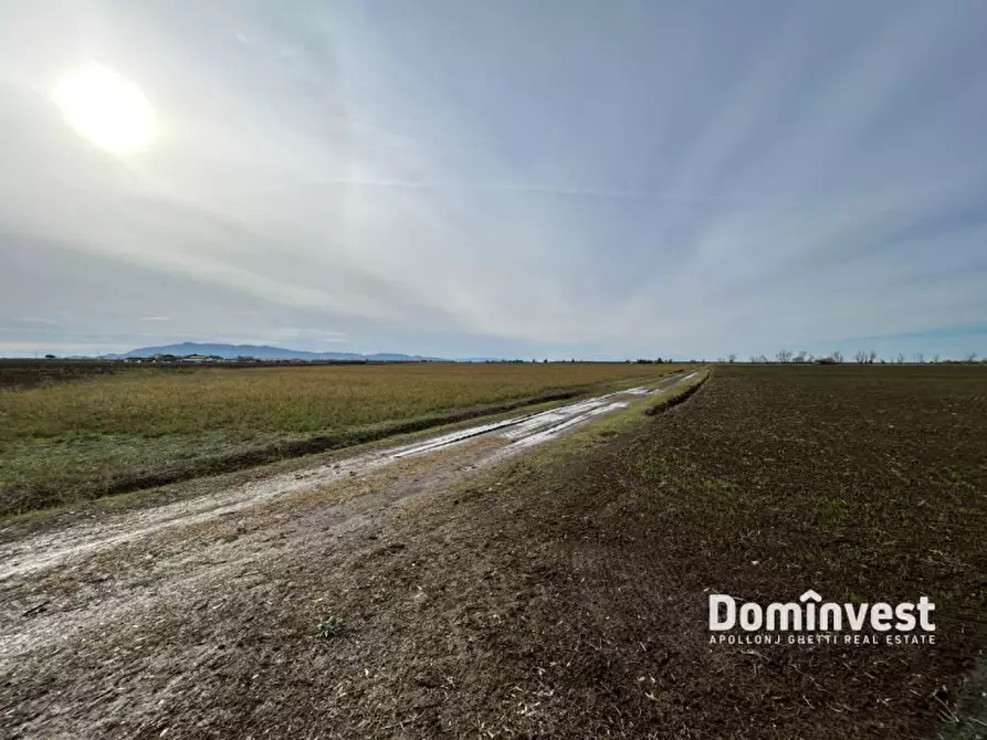 Immagine 1 di Terreno in vendita  in Strada Provinciale San Donato a Orbetello