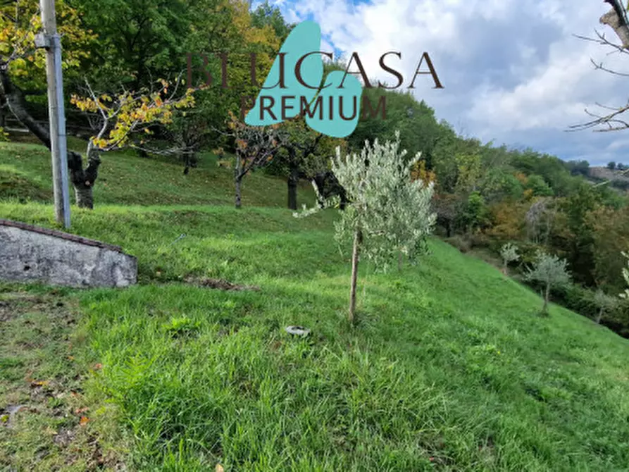 Immagine 50 di Casa indipendente in vendita  in via Giuseppe di Vittorio a Civitella Di Romagna