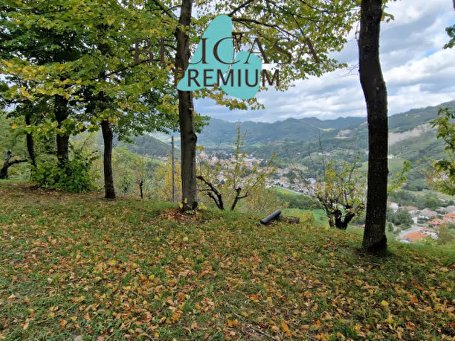 Immagine 61 di Casa indipendente in vendita  in via Giuseppe di Vittorio a Civitella Di Romagna