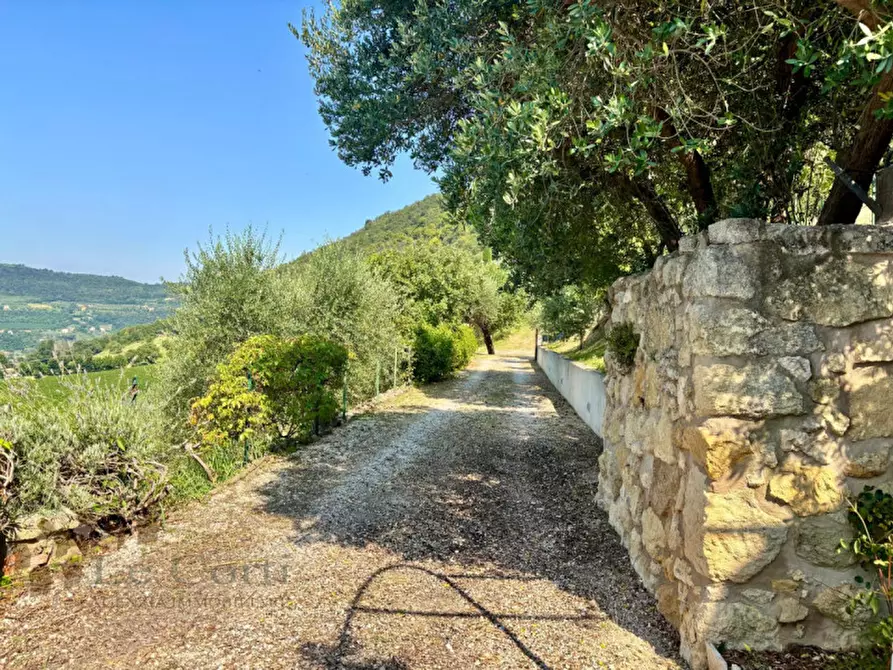 Immagine 22 di Rustico / casale in vendita  in val liona a Val Liona