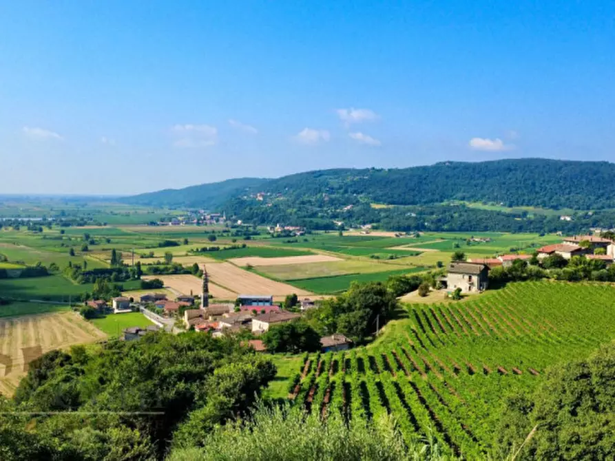 Immagine 23 di Rustico / casale in vendita  in val liona a Val Liona