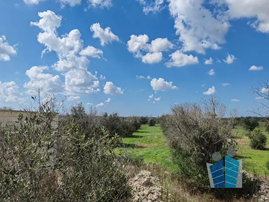Immagine 5 di Rustico / casale in vendita  a Otranto
