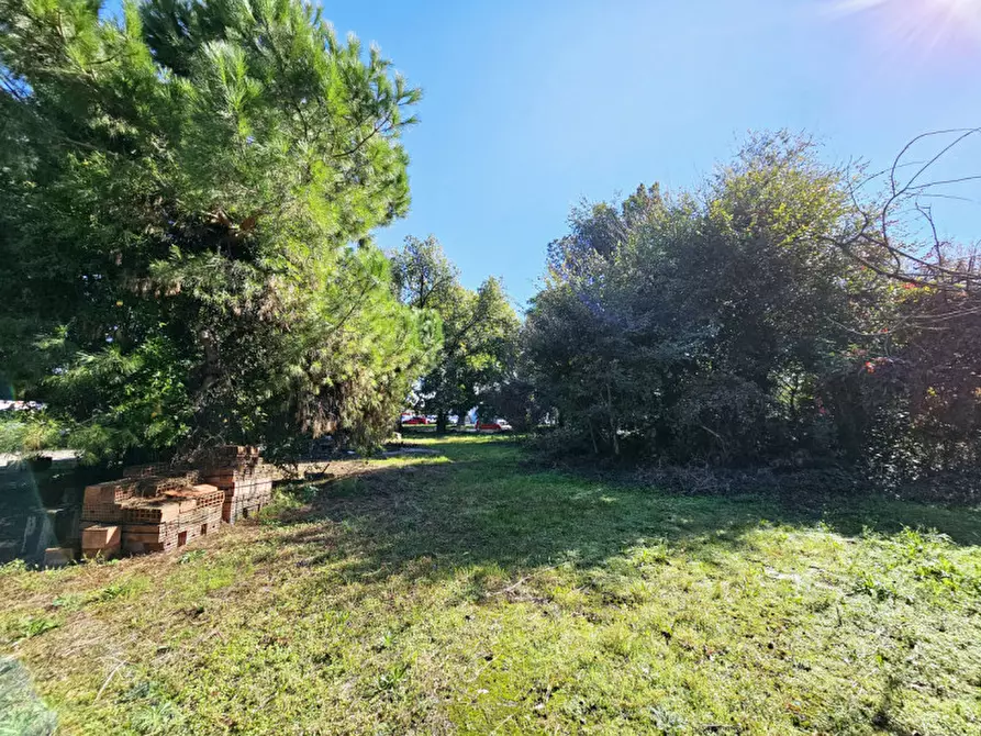 Immagine 10 di Negozio in vendita  in VIA ATHESTE a Este