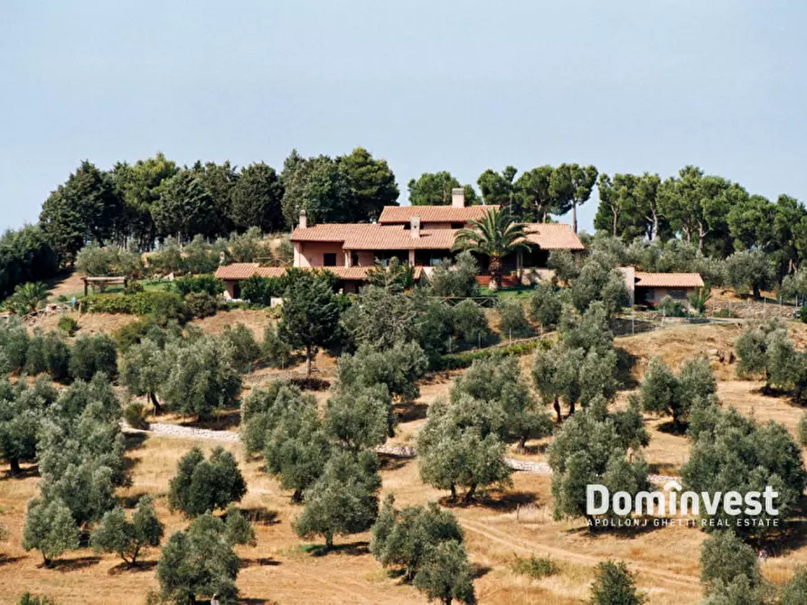 Immagine 1 di Villa in vendita  in macchia scandona a Castiglione Della Pescaia