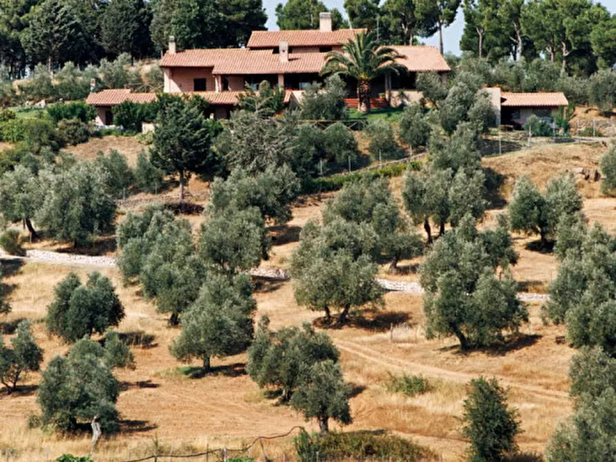 Immagine 2 di Villa in vendita  in Strada Provinciale 43 Macchiascandona a Castiglione Della Pescaia