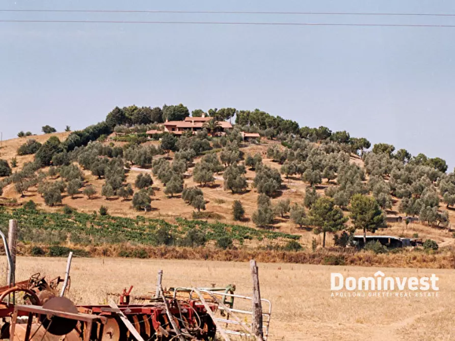 Immagine 3 di Villa in vendita  in Strada Provinciale 43 Macchiascandona a Castiglione Della Pescaia