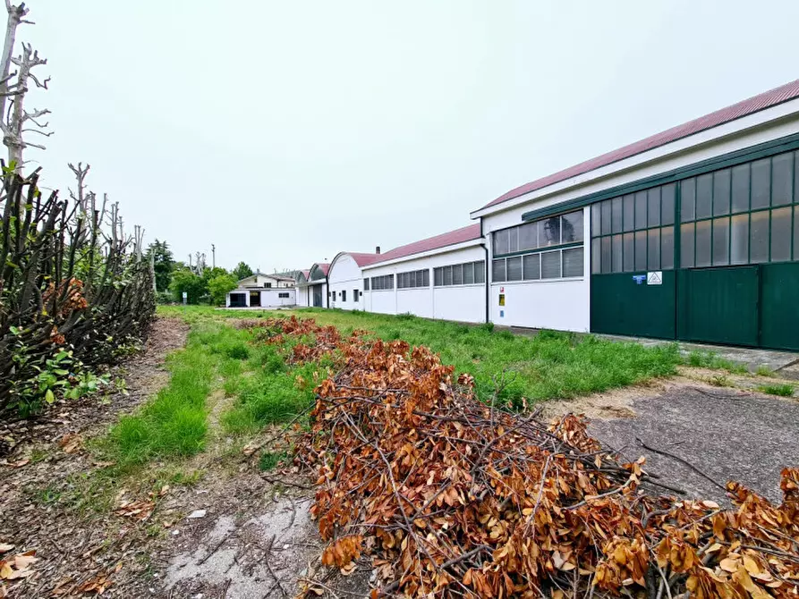 Immagine 20 di Capannone industriale in affitto  in Via Ca' Borini a Baone
