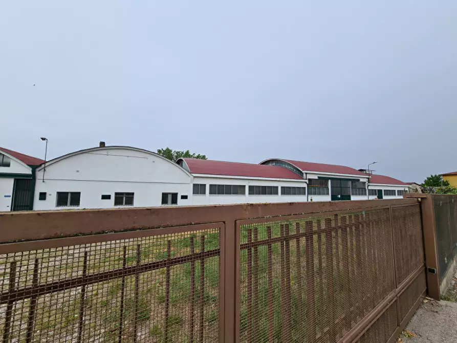 Immagine 21 di Capannone industriale in affitto  in Via Ca' Borini a Baone