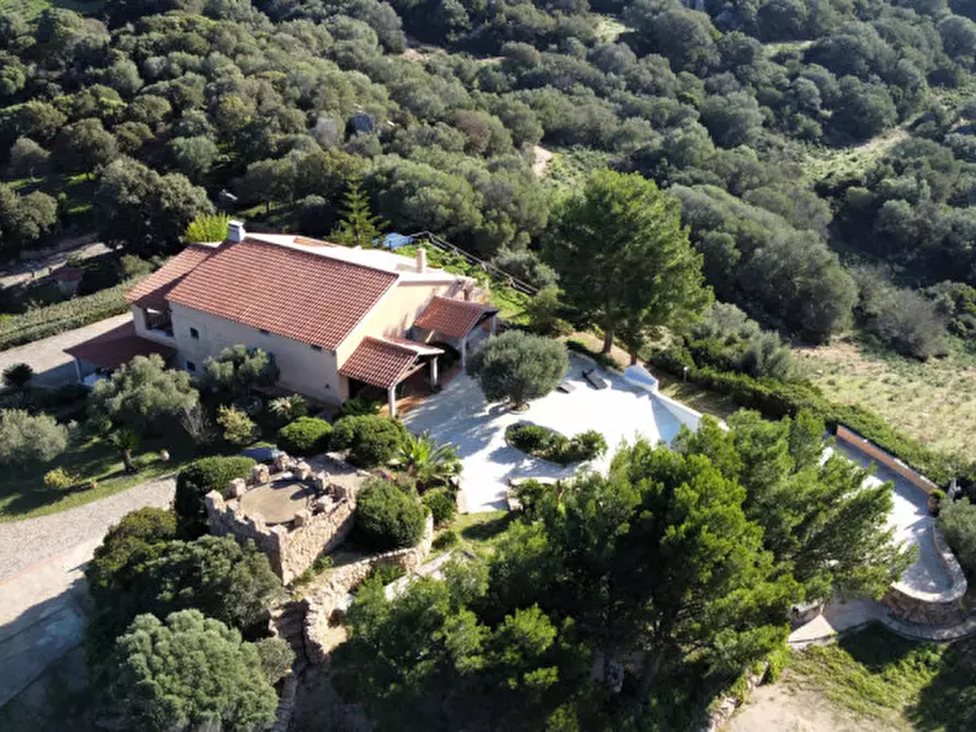 Immagine 3 di Villa in vendita  in via plebi 48 a Olbia
