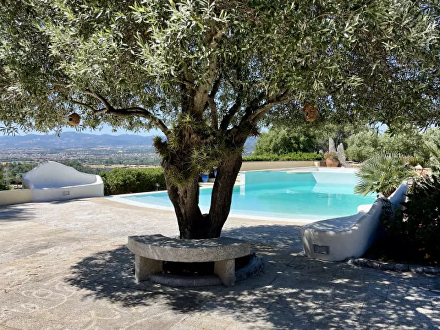 Immagine 3 di Villa in vendita  in via plebi 48 a Olbia