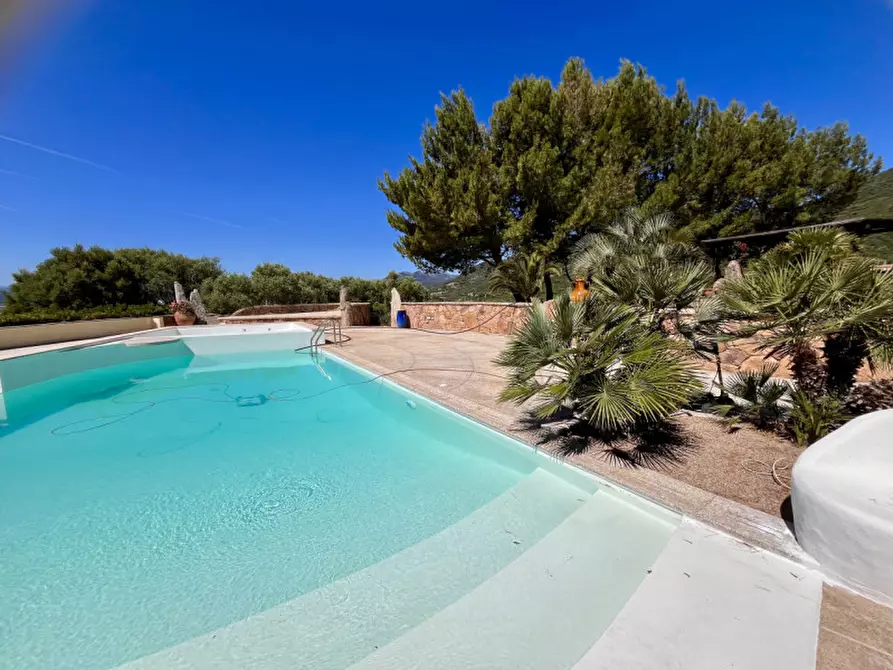 Immagine 6 di Villa in vendita  in via plebi 48 a Olbia