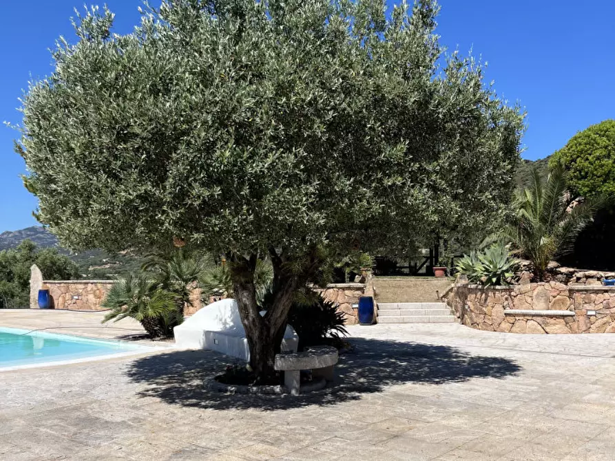 Immagine 7 di Villa in vendita  in via plebi 48 a Olbia