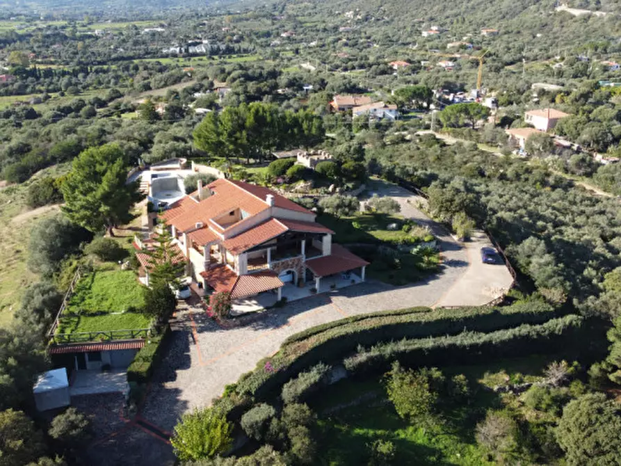 Immagine 8 di Villa in vendita  in via plebi 48 a Olbia