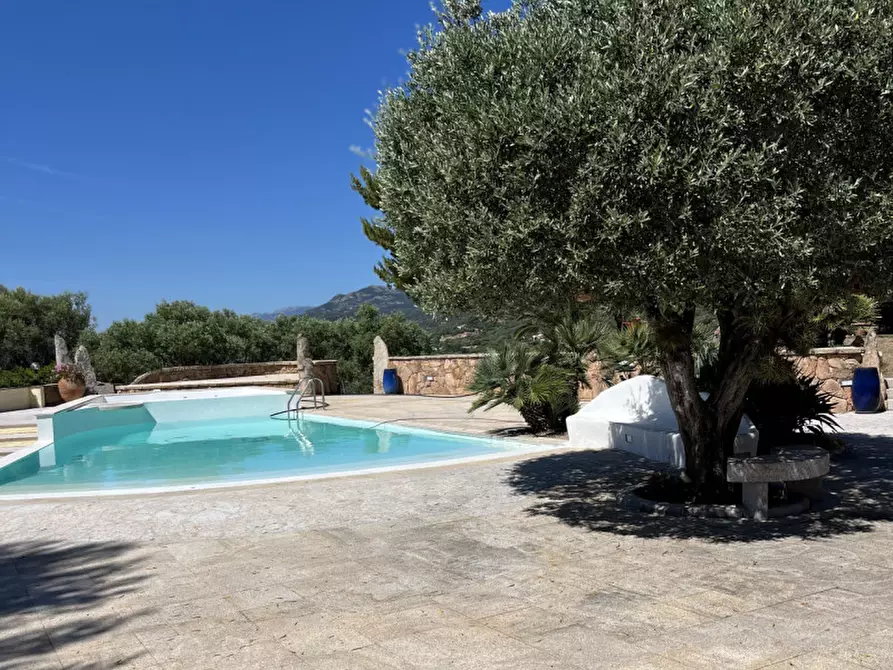 Immagine 10 di Villa in vendita  in via plebi 48 a Olbia