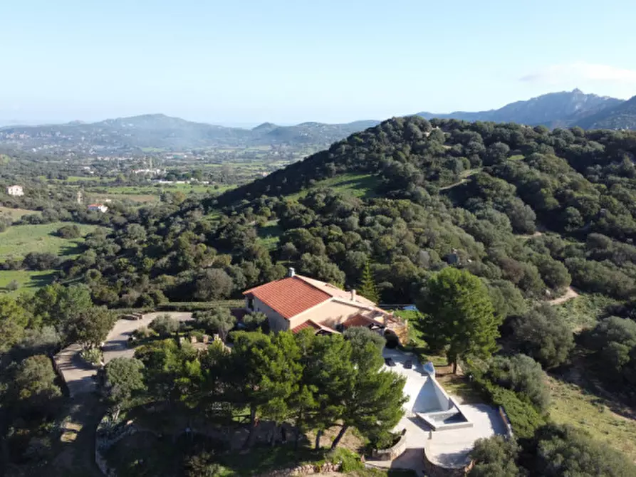 Immagine 11 di Villa in vendita  in via plebi 48 a Olbia